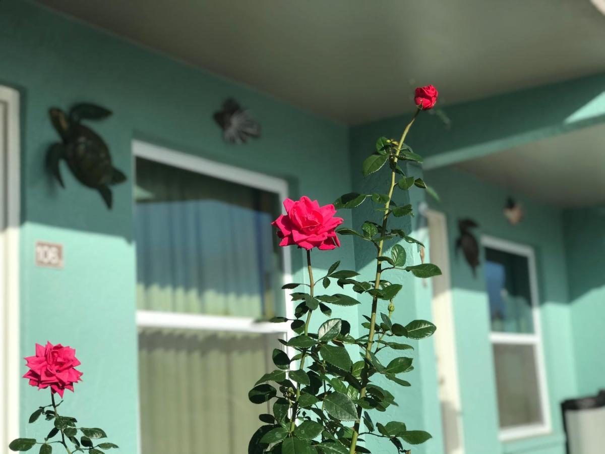 Immokalee Inn Экстерьер фото